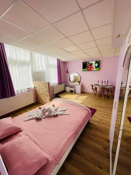 Lavender Luxury Apartment Oradea Buitenkant foto